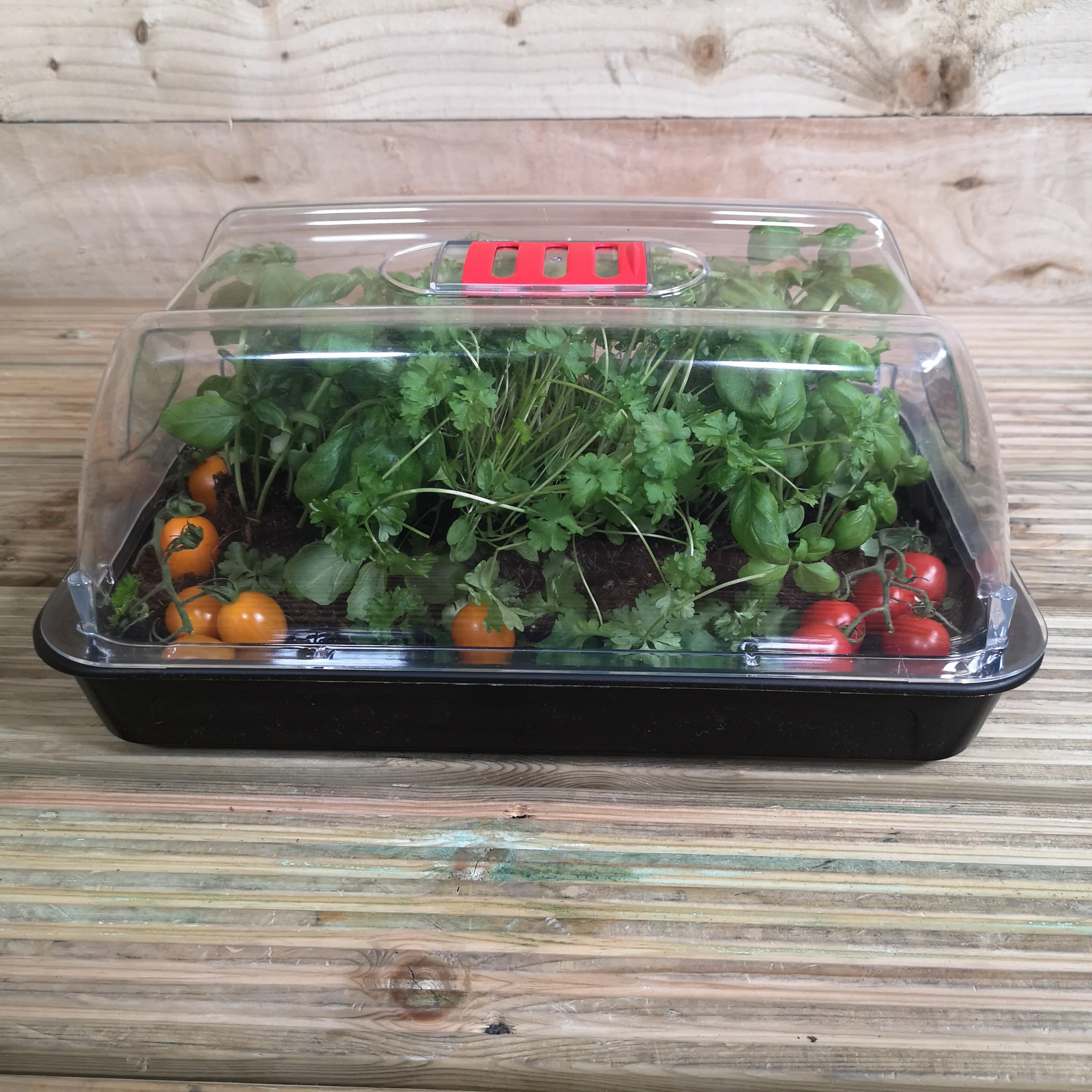 Product image 31